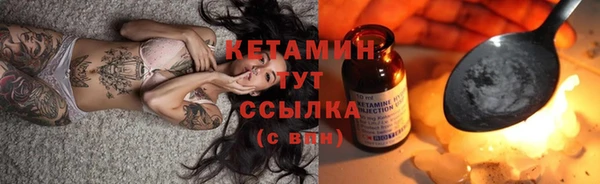 ГАЛЛЮЦИНОГЕННЫЕ ГРИБЫ Осинники