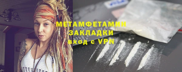 ГАЛЛЮЦИНОГЕННЫЕ ГРИБЫ Осинники
