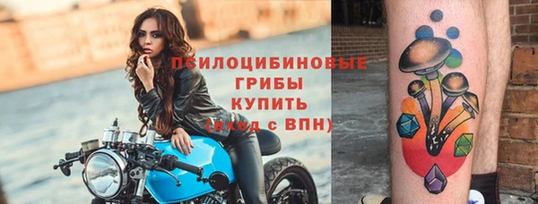 молекула духа Остров