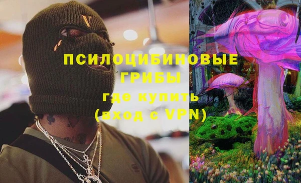 ГАЛЛЮЦИНОГЕННЫЕ ГРИБЫ Осинники